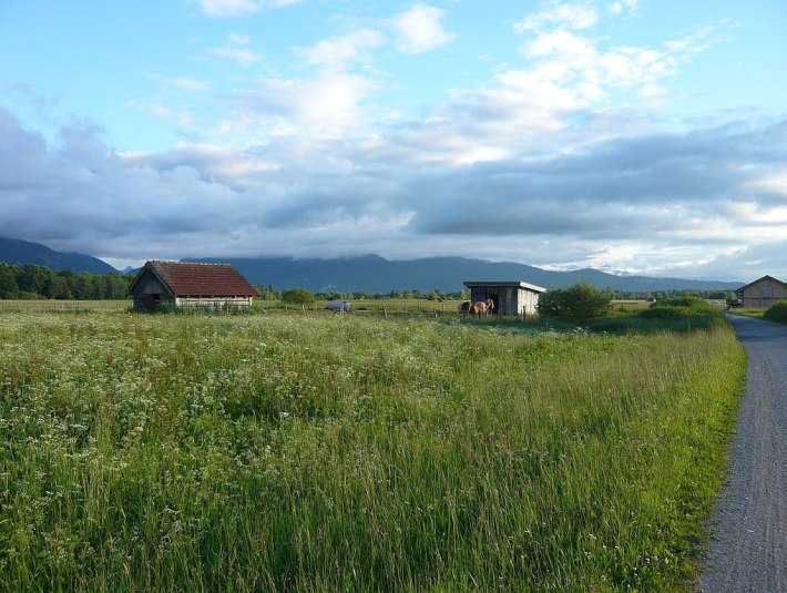im Loisach-Kochelsee-Moor, &copy; T&ouml;lzer Land Tourismus