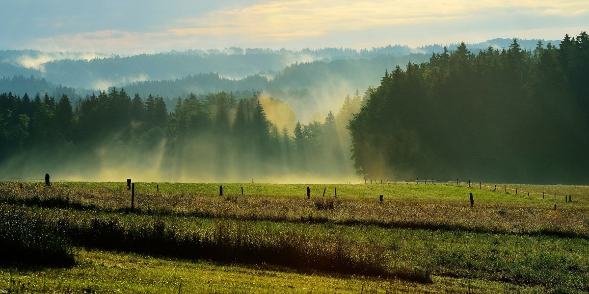 Greilinger Runde, © Hirz