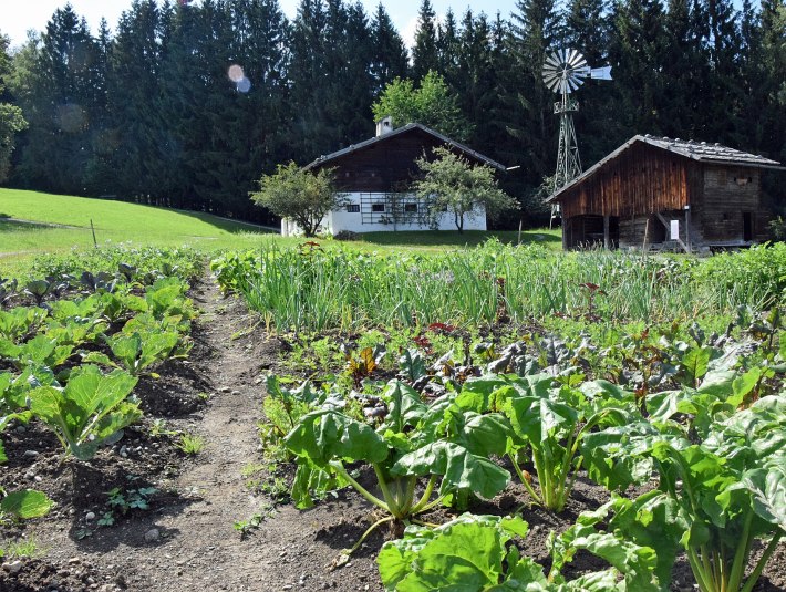 Krautgarten Freilichtmuseum Glentleiten, &copy; Freilichtmuseum Glentleiten