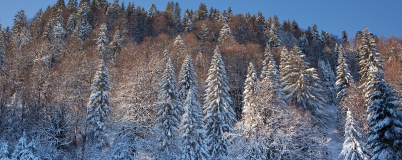 Winterlandschaft in Lenggries