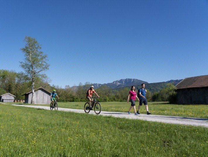 Rad-Wandern durch das Loisach-Kochelseemoor bei Benediktbeuern mit herrlichem Blick auf die markante Bendiktenwand, &copy; T&ouml;lzer Land Tourismus u. GI Benediktbeuern|Foto B. Ritschel