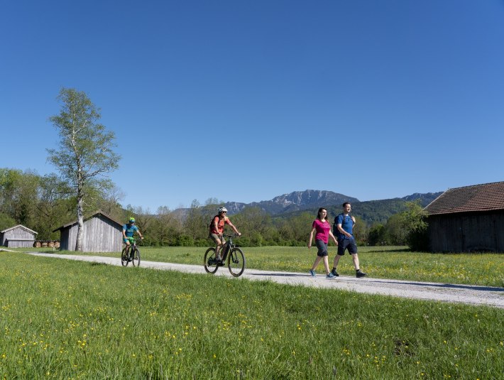 Rad-Wandern durch das Loisach-Kochelseemoor bei Benediktbeuern mit herrlichem Blick auf die markante Bendiktenwand, © Tölzer Land Tourismus u. GI Benediktbeuern|Foto B. Ritschel