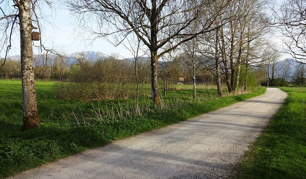 Weg zur Moosmühle, © Tölzer Land Tourismus