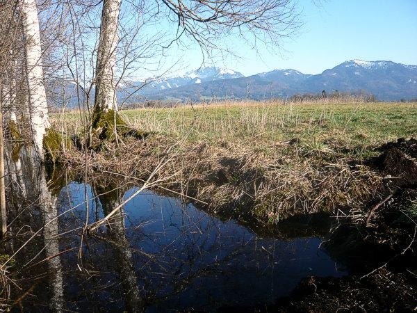 Loisach-Kochelsee-Moor, © Tölzer Land Tourismus