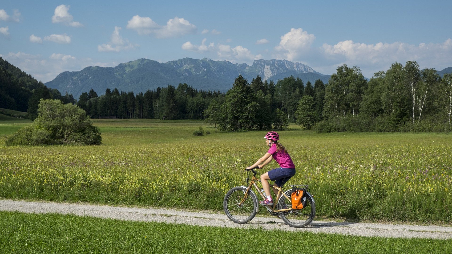 Eine Radfahrerin fährt auf einem Radweg zwischen bunten Blumenwiesen; im Hintergrund erhebt sich die markante Benediktenwand, © Tölzer Land Tourismus|Jörg Spaniol