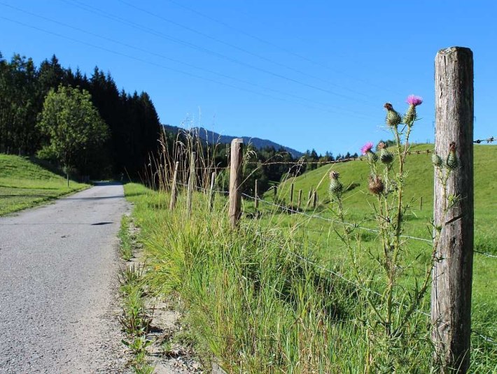 H&ouml;henweg bei Mariabrunn, &copy; T&ouml;lzer Land Tourismus