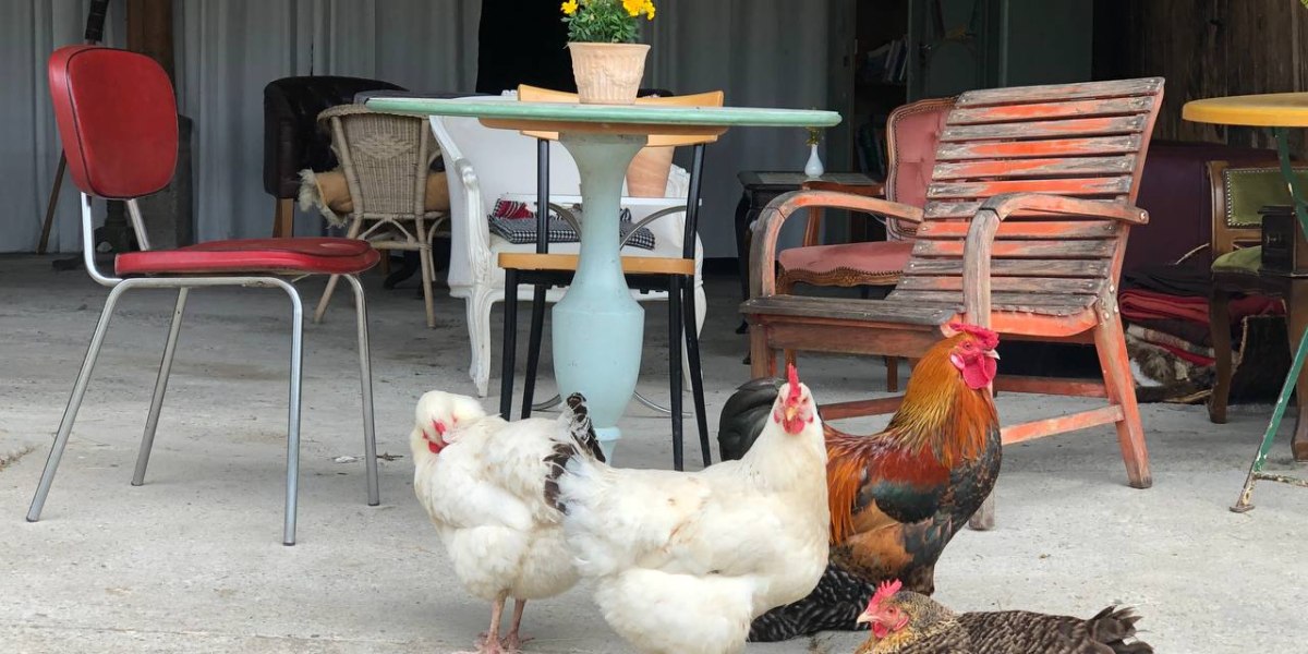 Sch&ouml;nes Hofcaf&eacute; in Schlehdorf