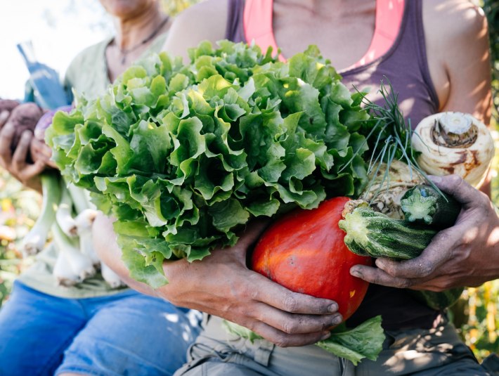 Gem&uuml;se aus dem Permagarten, &copy; Stiftung Kunst und Natur