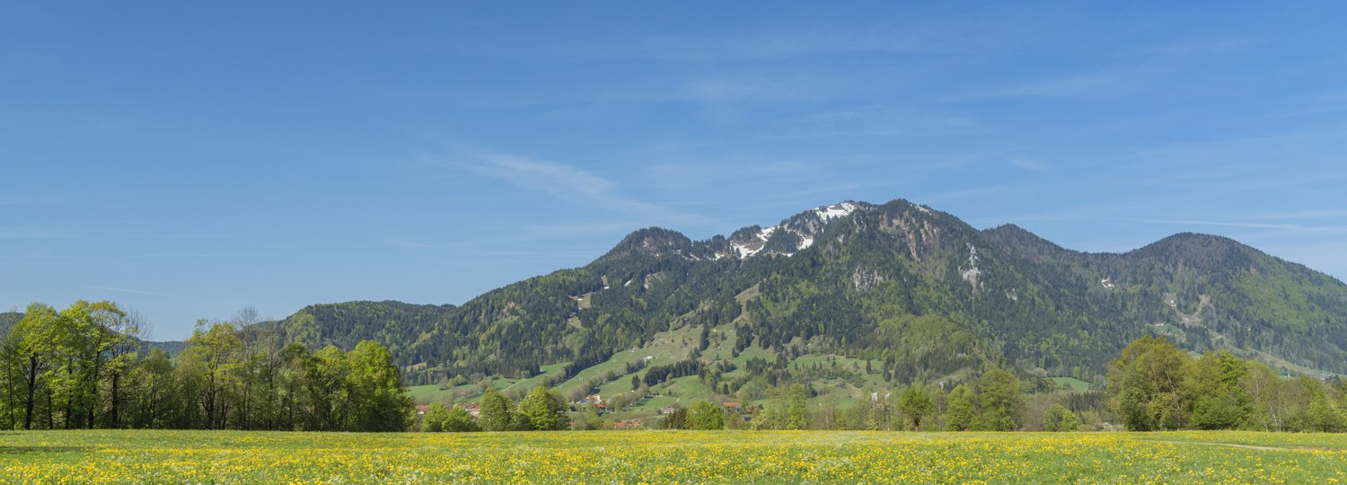 Brauneck mit Blumenwiese im Vordergrund., &copy; Christian B&auml;ck