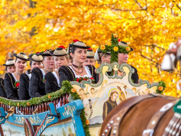 Prächtig geschmückte Pferdegespanne und Frauen in Tracht bei der Wallfahrt zu Ehren des Hl. Leonhard in Bad Tölz vor Bäumen, die golden vom Herbstlaub leuchten, © Tölzer Land Tourismus|Harald Kübler
