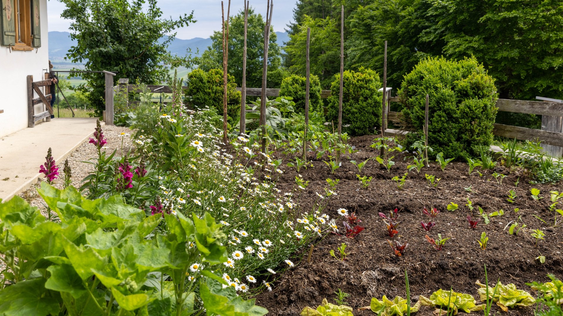 Ein Bauerngarten mit Blumen und Gem&uuml;se, &copy; Bezirk Oberbayern, FLM Glentleiten, Foto Sauer