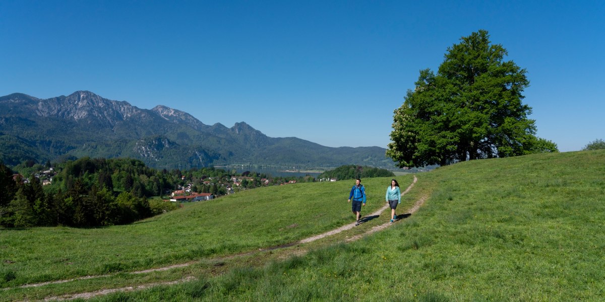 Aussichtspunkt Kohlleite mit Blick über Kochel a. See, © Tourist Information Kochel a. See