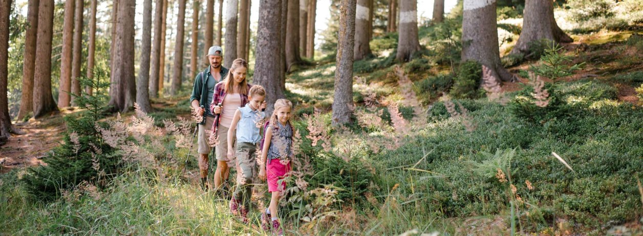 Kunstwanderweg Sinneswandel, © Tölzer Land Tourismus / Foto Leonie Lorenz