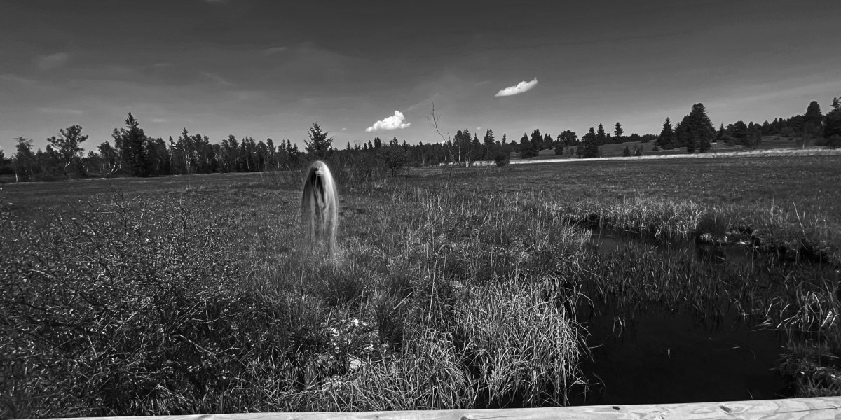 Kapitel 6 - Moorweiblein, &copy; Fakult&auml;t f&uuml;r Tourismus - Hochschule M&uuml;nchen - Digitales Marketing & Management