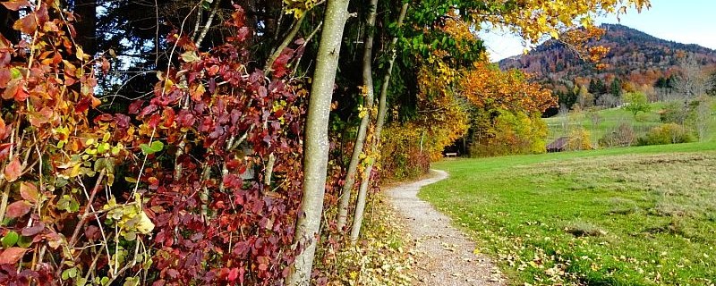 Herbst in Benediktbeuern, &copy; G&auml;steinformation Benediktbeuern