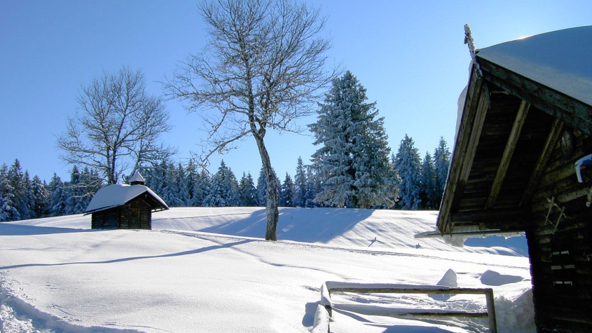 Winter an der Schweiger Alm, &copy; Gemeinde Gai&szlig;ach