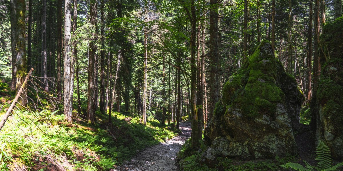 In den Spuren der Schatzsucher auf die Probstenwand, © Fakultät für Tourismus - Hochschule München - Digitales Marketing & Management