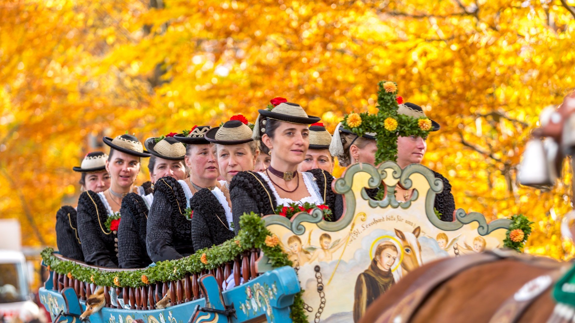 Prächtig geschmückte Pferdegespanne und Frauen in Tracht bei der Wallfahrt zu Ehren des Hl. Leonhard in Bad Tölz vor Bäumen, die golden vom Herbstlaub leuchten, © Tölzer Land Tourismus|Harald Kübler
