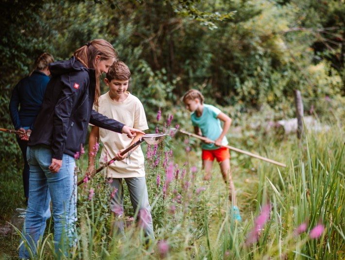 Der Natur auf der Spur  wie hier bei einer "T&uuml;mpelsafari" im Kochelsee-Loisach-Moor bei Benediktbeuern, &copy; T&ouml;lzer Land Tourismus|Leonie Lorenz