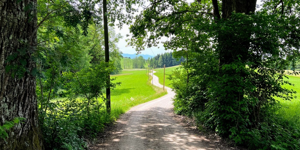 Waldabschnitt des Isarradwegs, &copy; Fakult&auml;t f&uuml;r Tourismus - Hochschule M&uuml;nchen - Digitales Marketing & Management