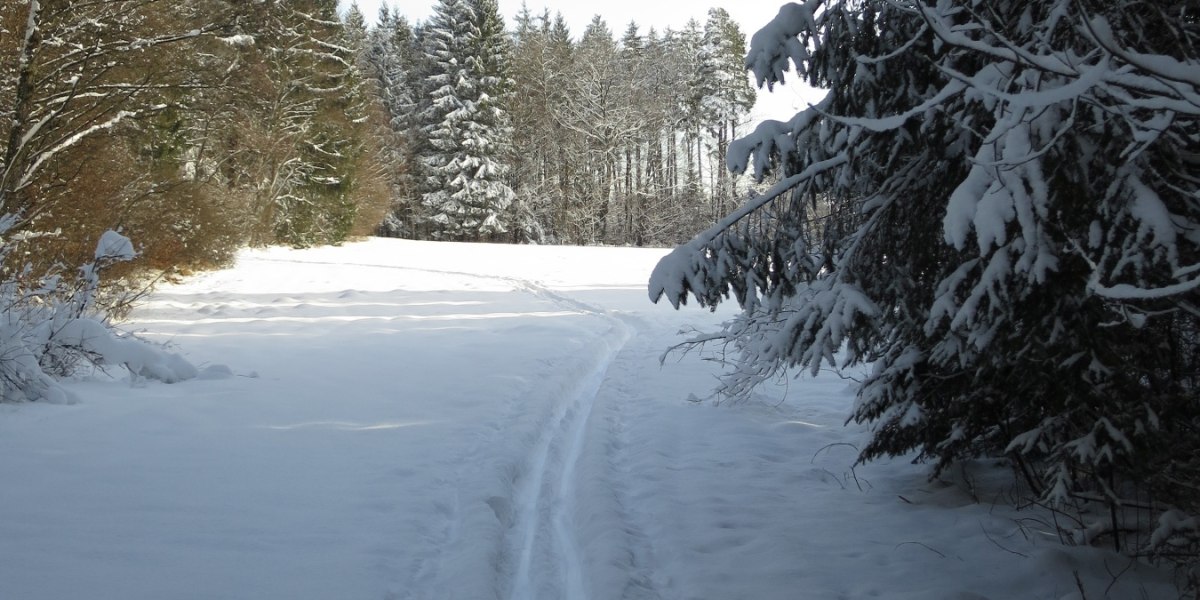 weiter in Richtung Bibisee, © Tölzer Land Tourismus