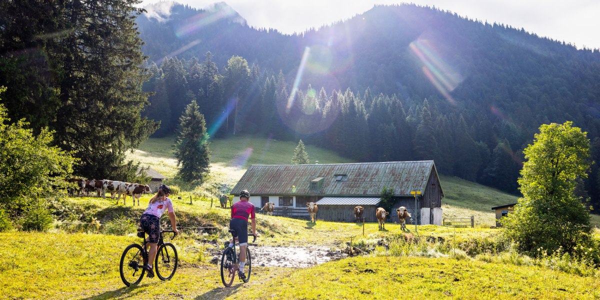 Zwei Personen mit dem Mountainbike radlen auf den Rossstein, © Tourismus Lenggries, Foto: A. Greiter