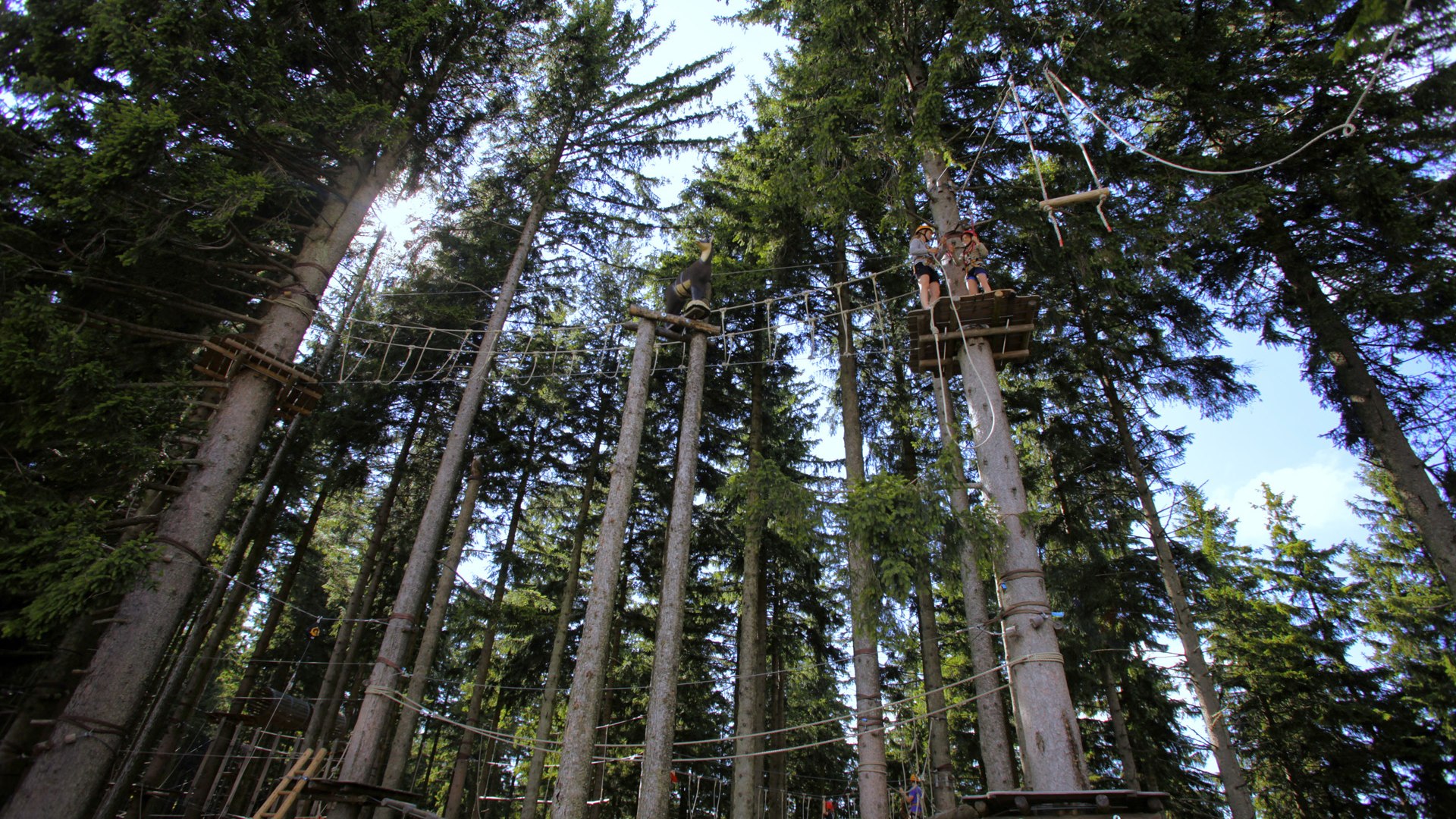Kletterwald am Blomberg, &copy; Tourist Information Bad T&ouml;lz I Foto Wilbert