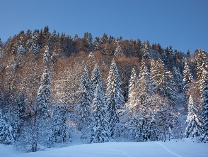 Winterlandschaft in Lenggries, &copy; Tourismus Lenggries