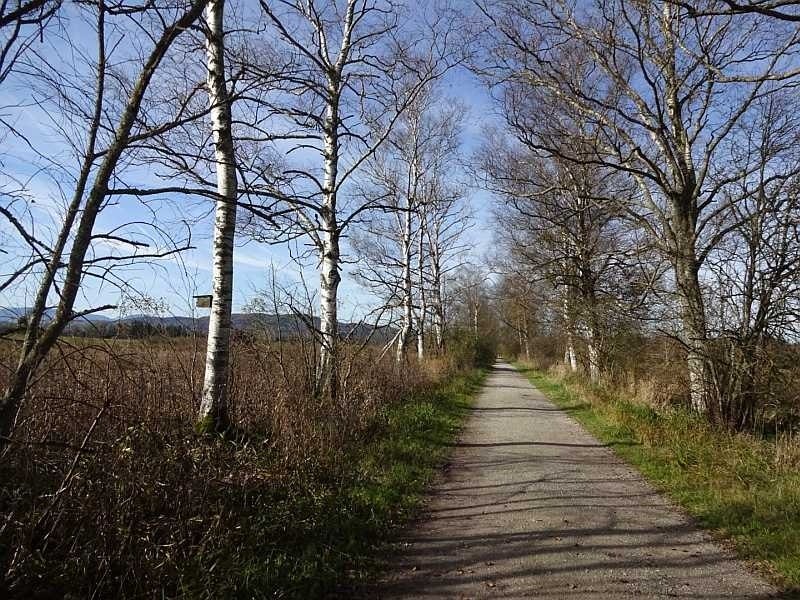 Moosrundweg 1, © Tölzer Land Tourismus