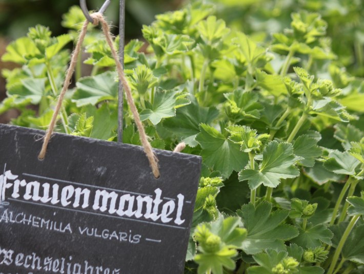 Liebevoll gestaltete Schieferschilder f&uuml;r den Klostergarten Beuerberg, &copy; T&ouml;lzer Land Tourismus|J. Kirschenhofer