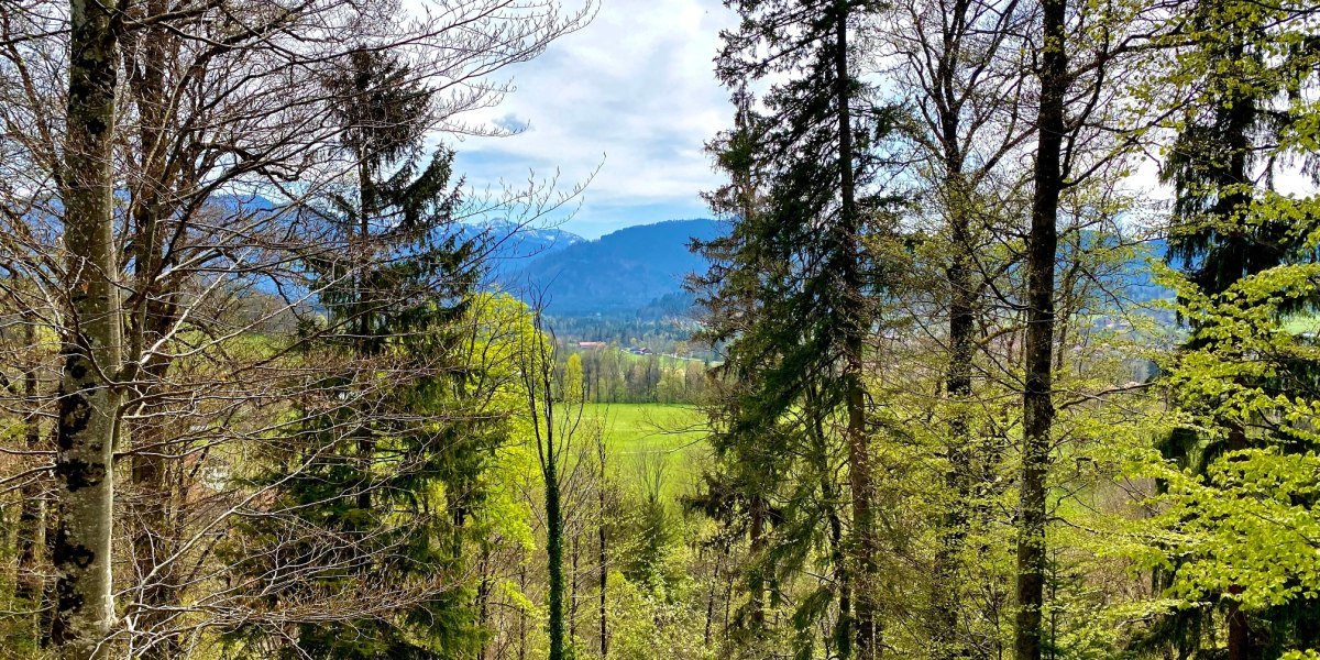 Blick ins Tal, © Fakultät für Tourismus - Hochschule München - Digitales Marketing & Management