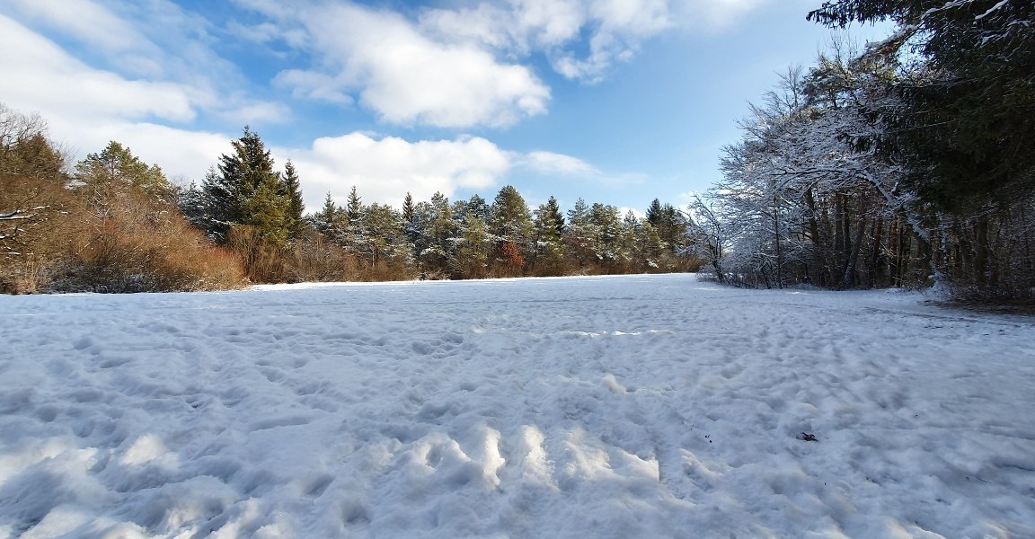 Naturschutzgebiet Isar, © Unbekannt