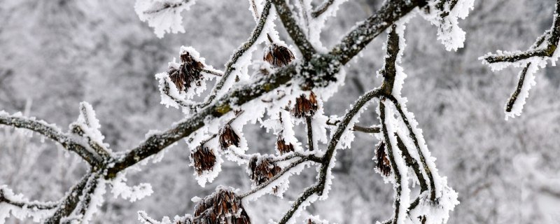 Loipe Ellbach, &copy; T&ouml;lzer Land Tourismus