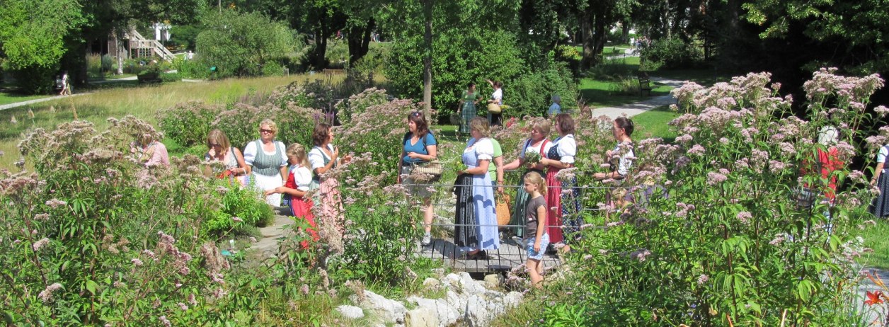 Entdecken Sie die Welt der Wildkr&auml;uter bei den Kr&auml;uter-Erlebnis-F&uuml;hrungen im T&ouml;lzer Land, &copy; G&auml;steinformation Bad Heilbrunn
