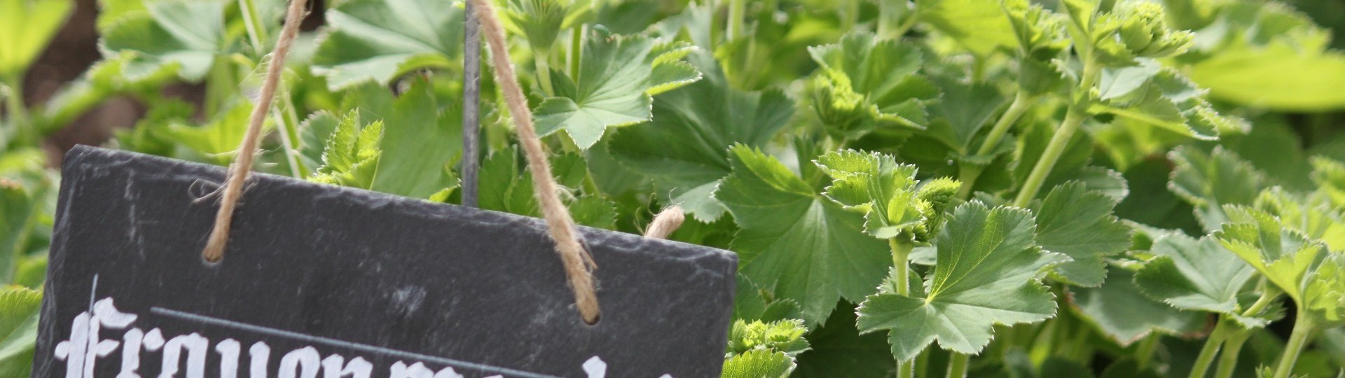 Liebevoll gestaltete Schieferschilder f&uuml;r den Klostergarten Beuerberg, &copy; T&ouml;lzer Land Tourismus|J. Kirschenhofer