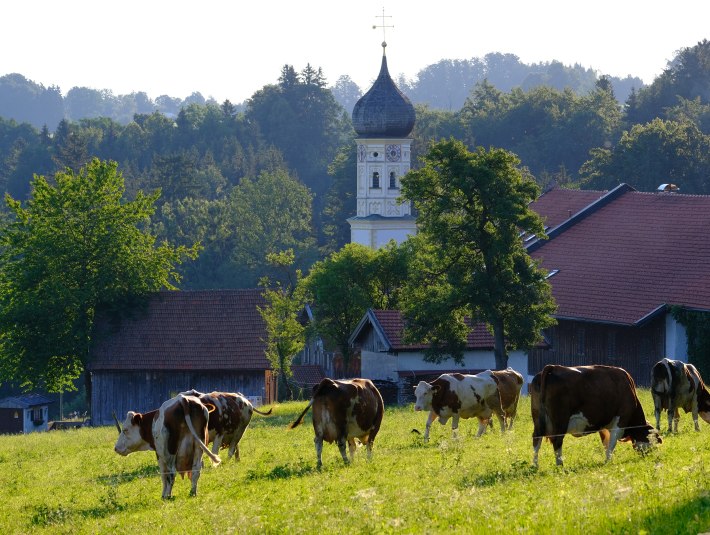 Fischbach, © Stadt Bad Tölz