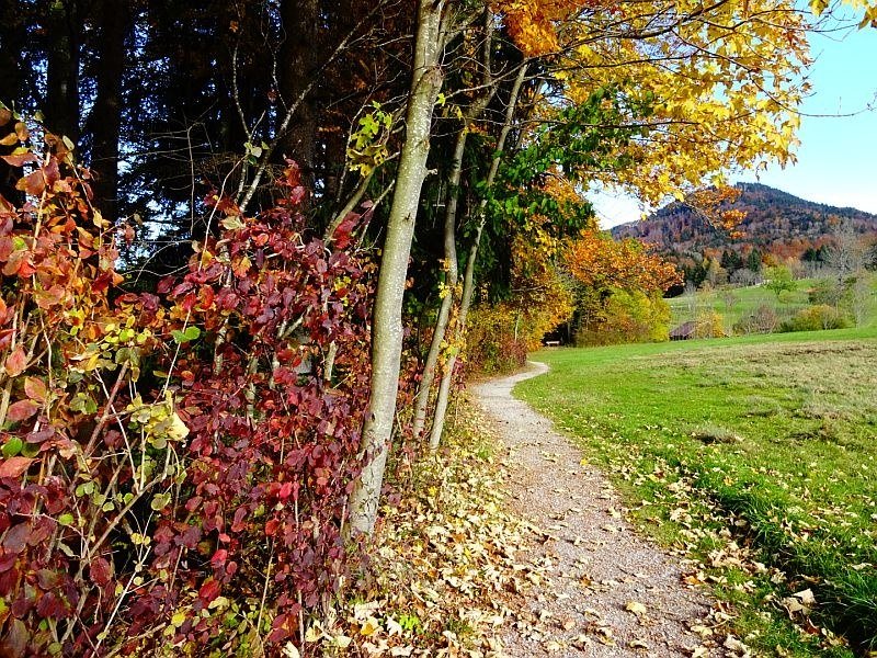 Herbst in Benediktbeuern, © Gästeinformation Benediktbeuern