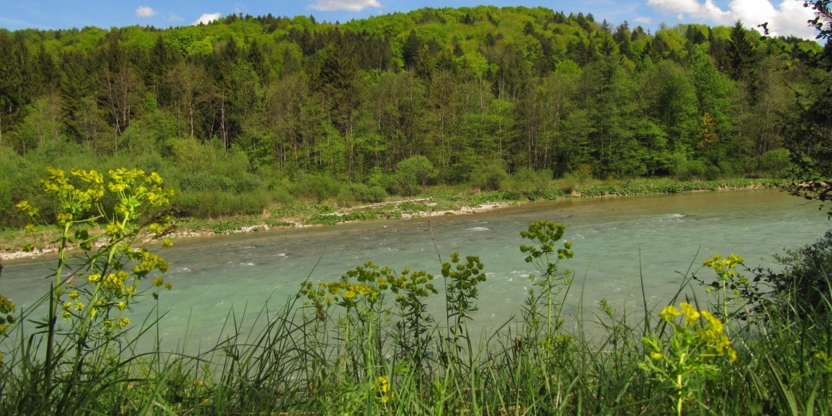 Geretsried- Zur Isarbr&uuml;cke und in die Wildnis, &copy; Stadt Geretsried
