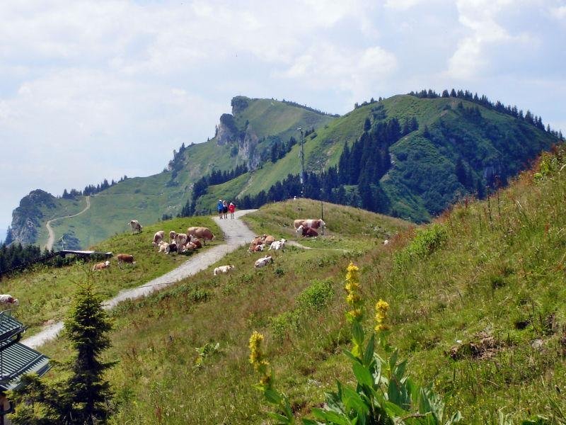 Bergtour von Lenggries auf das Brauneck &uuml;ber Kotalm, &copy; Community