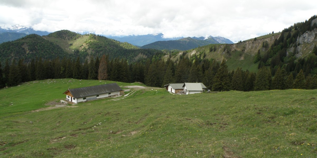 Vordere Scharnitzalm, © Alpiner Ski-Club