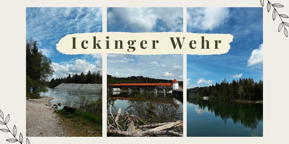 Ickinger Wehr Eindrücke der Kräuter 2 Go - DYI Genusstour, © Fakultät für Tourismus - Hochschule München - Digitales Marketing & Management