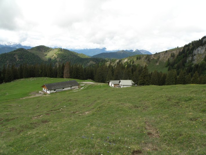 Vordere Scharnitzalm, © Alpiner Ski-Club