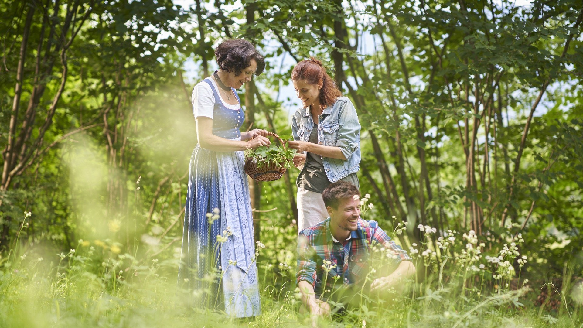Lernen Sie eine wahren Schatz der Natur kennen bei den Kr&auml;uterwanderungen mit zertifizierten Kr&auml;uterp&auml;dagoginnnen, &copy; T&ouml;lzer Land Tourismus/Stadt Bad T&ouml;lz|Jan Greune
