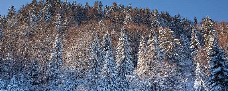 Winterlandschaft in Lenggries, &copy; Tourismus Lenggries
