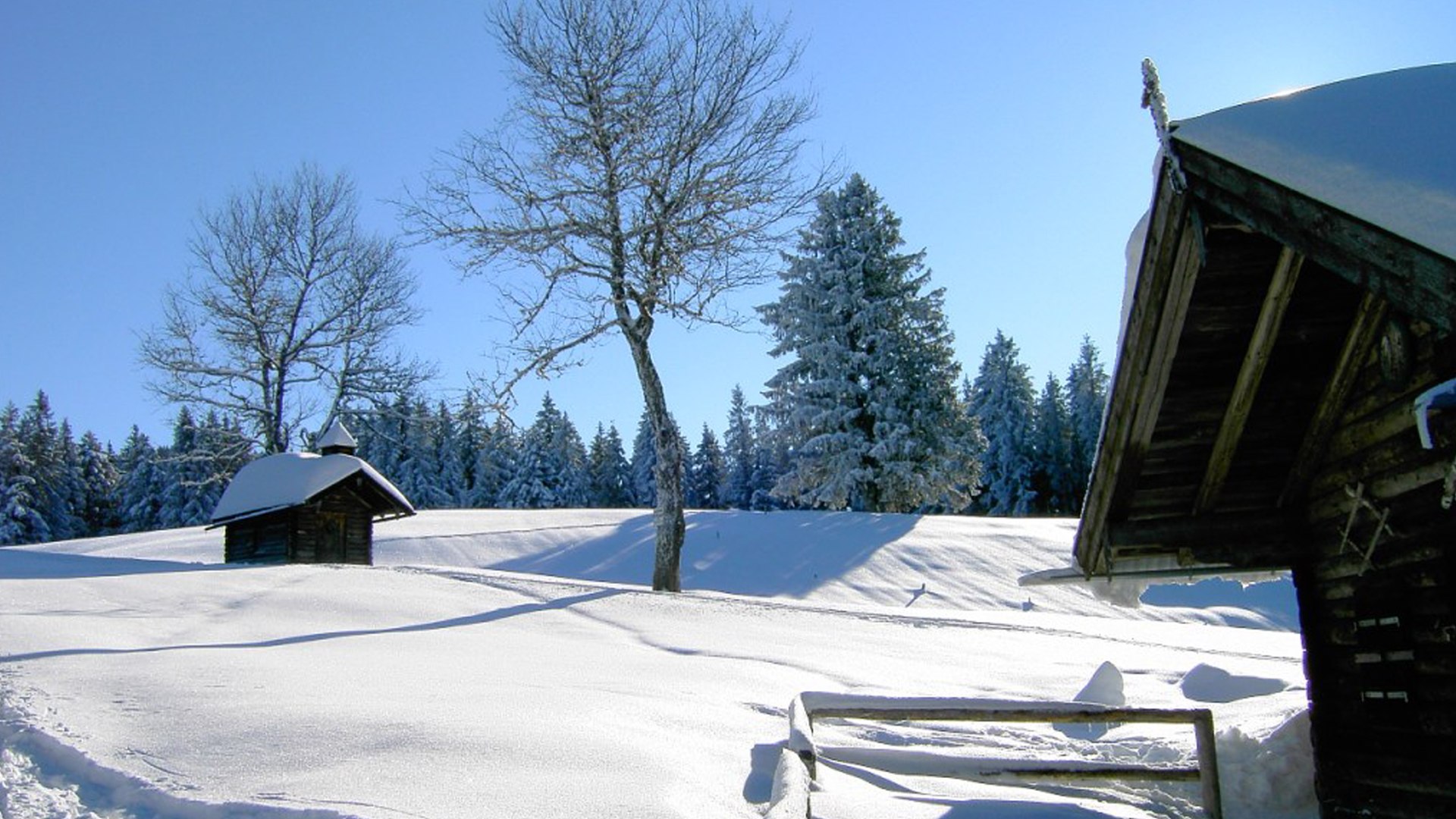 Winter an der Schweiger Alm, © Gemeinde Gaißach