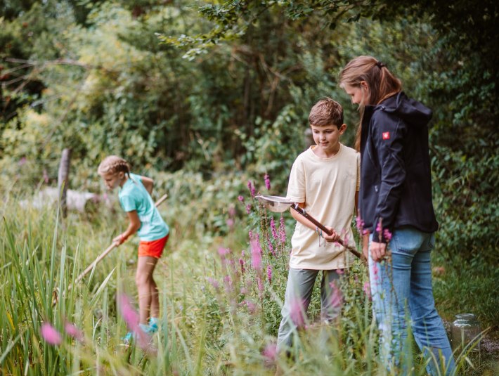Auf den verschiedenen Pfaden durch das Naturlehrgebiet Loisach-Kochelsee-Moor rund um Benediktbeuern l&auml;sst sich die Natur erkunden. Das Zentrum f&uuml;r Umwelt und Kultur bietet z.B. "T&uuml;mpelsafaris" an., &copy; T&ouml;lzer Land Tourismus|Leonie Lorenz