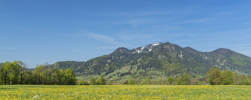 bl&uuml;hende Wiese in Lenggries, &copy; Christian B&auml;ck