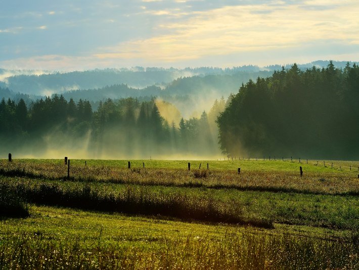 Greilinger Runde, &copy; Hirz