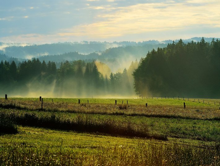 Greilinger Runde, © Hirz