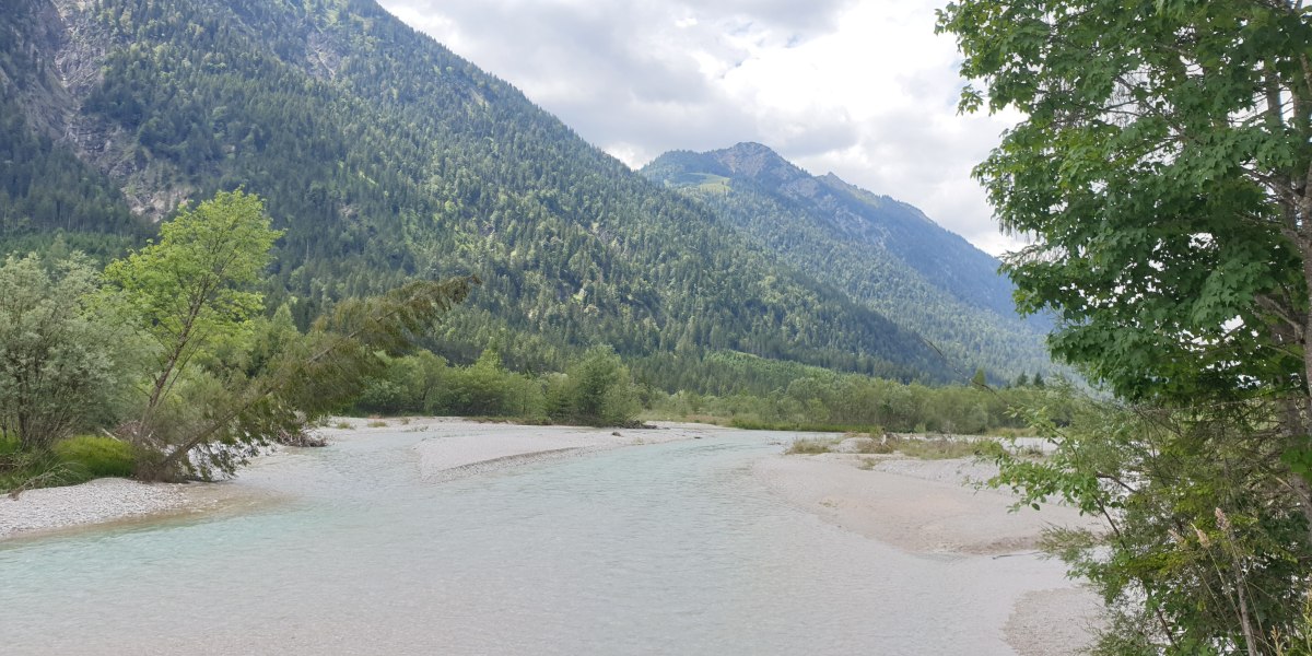 20200718_120332, &copy; Sonja Eichbichler